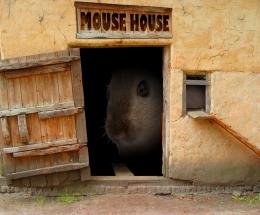 Mouse House